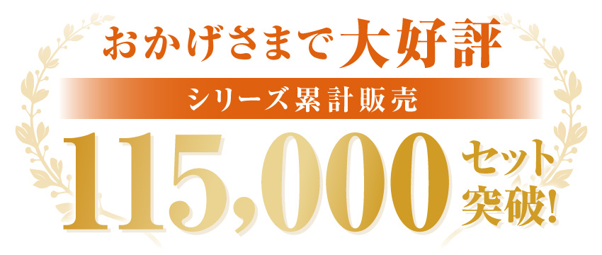 シリーズ累計販売〇セット突破！